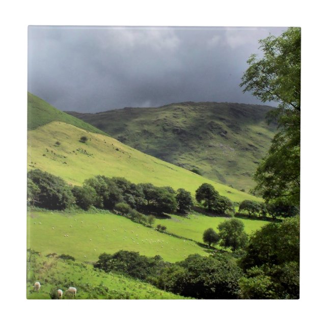 Azulejo De Cerámica OPINIONES DE GALES Reino Unido (Frente)