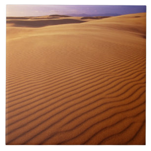 Azulejo De Cerámica Oregon Dunes National Recreation Area, Oregon en
