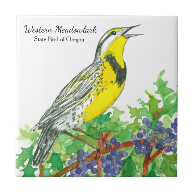 Azulejo De Cerámica Oregon Souvenir Meadowlark Botanica (Frente)