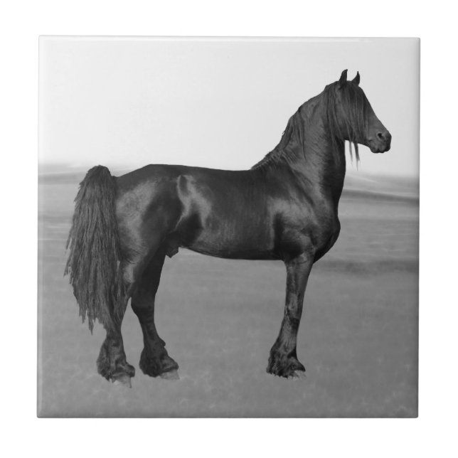 Azulejo De Cerámica Orgulloso caballo de semental negro frisón (Frente)