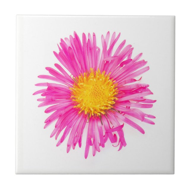 Azulejo De Cerámica Original mono planta de flor de PINK PINK (Frente)