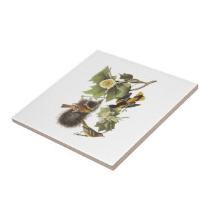 Azulejo De Cerámica Oriole septentrional por Audubon
