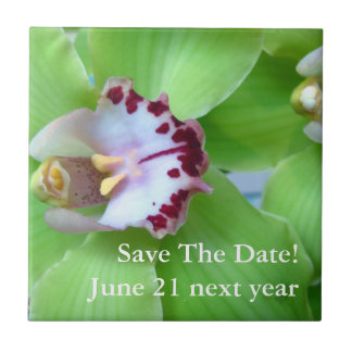 Azulejo De Cerámica Orquídea Cimbidium verde