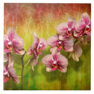 Azulejo De Cerámica Orquídea - Phalaenopsis - simplemente un placer