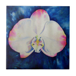 Azulejo De Cerámica Orquídea Tono Rosa