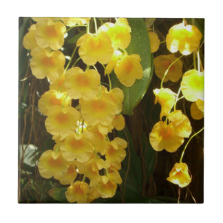 Azulejo De Cerámica Orquídeas Amarillas colgando flores tropicales