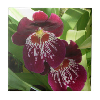 Azulejo De Cerámica Orquídeas de Marrón II Elegante Floral