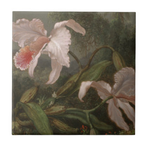 Azulejo De Cerámica Orquídeas y colibríes de la selva
