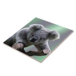 Azulejo De Cerámica Oso de koala