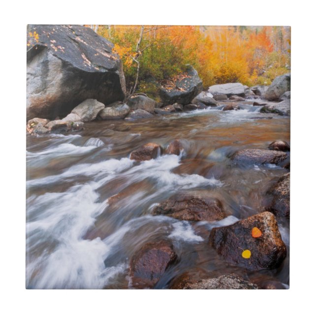 Azulejo De Cerámica Otoño a lo largo de Bishop Creek, CA (Frente)