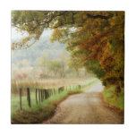 Azulejo De Cerámica Otoño en una carretera rural<br><div class="desc">Decoración del hogar</div>