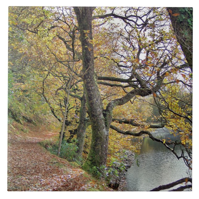 AZULEJO DE CERÁMICA OTOÑO POR EL LAGO (Frente)