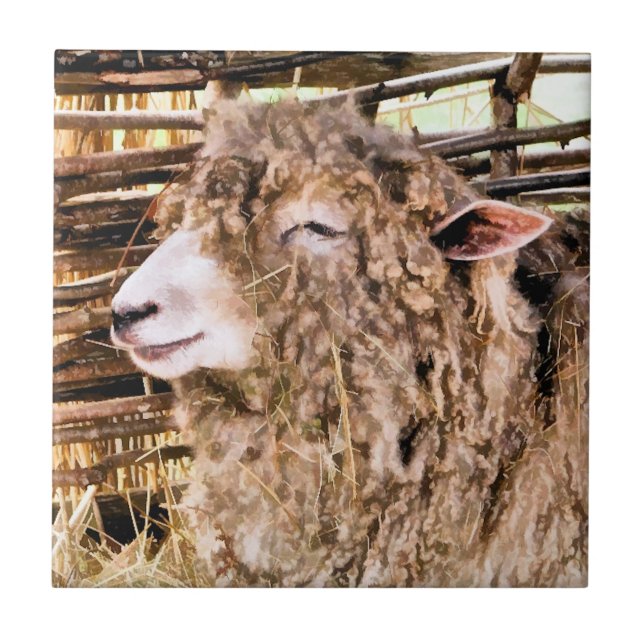 AZULEJO DE CERÁMICA OVEJAS CUIDADAS (Frente)