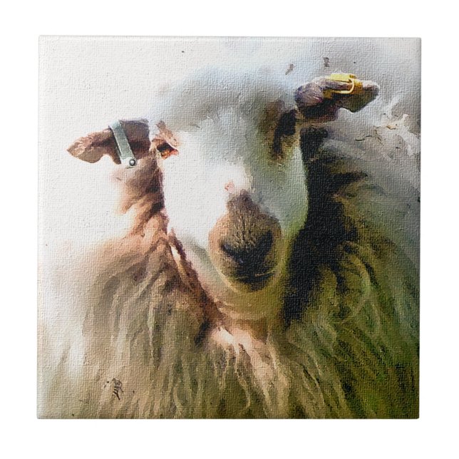 AZULEJO DE CERÁMICA OVEJAS CUIDADAS (Frente)