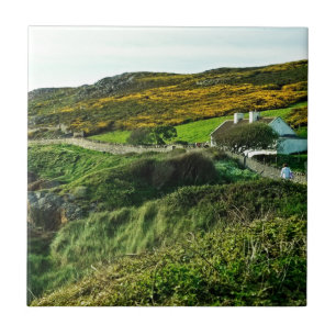 Azulejo De Cerámica Ovejas en Irlanda