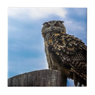 Azulejo De Cerámica Owl Bird Fethers Animal Nature Destruye Peace Love