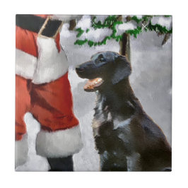 Azulejo De Cerámica Pachón de pelo liso Navidad