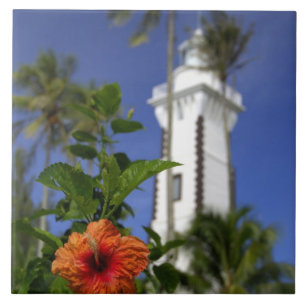 Azulejo De Cerámica Pacífico Sur, Polinesia Francesa, Tahití. Hibisco