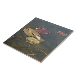 Azulejo De Cerámica Pads Lily del Otoño - Frente Izquierdo