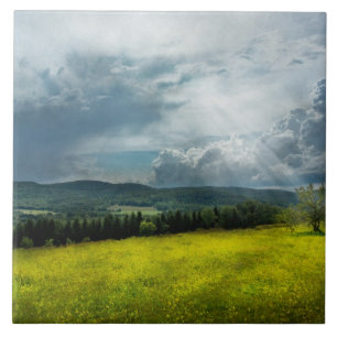 Azulejo De Cerámica País - esperanza eterna