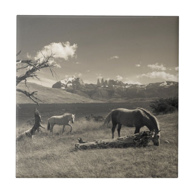 Azulejo De Cerámica Paisaje con caballos (Frente)