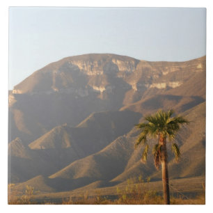 Azulejo De Cerámica Paisaje de rancho desértico cerca de Monterey, Méx