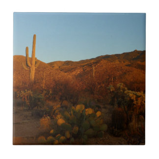 Azulejo De Cerámica Paisaje del desierto de Saguaro Sunset I Arizona