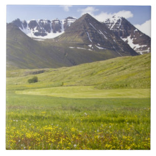 Azulejo De Cerámica Paisaje escénico del valle de Svarfadardalur