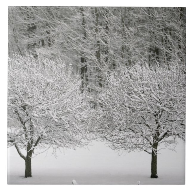 Azulejo De Cerámica Paisaje nevado (Frente)