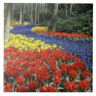 Azulejo De Cerámica Países Bajos, Holanda, Lisse, Jardines Keukenhof