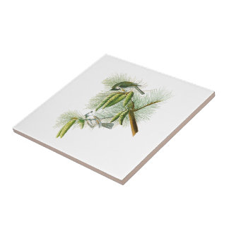 Azulejo De Cerámica Pájaros con cresta América de John James Audubon