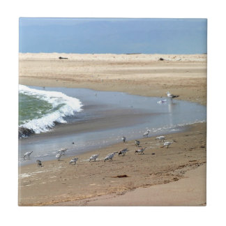Azulejo De Cerámica Pájaros de la playa