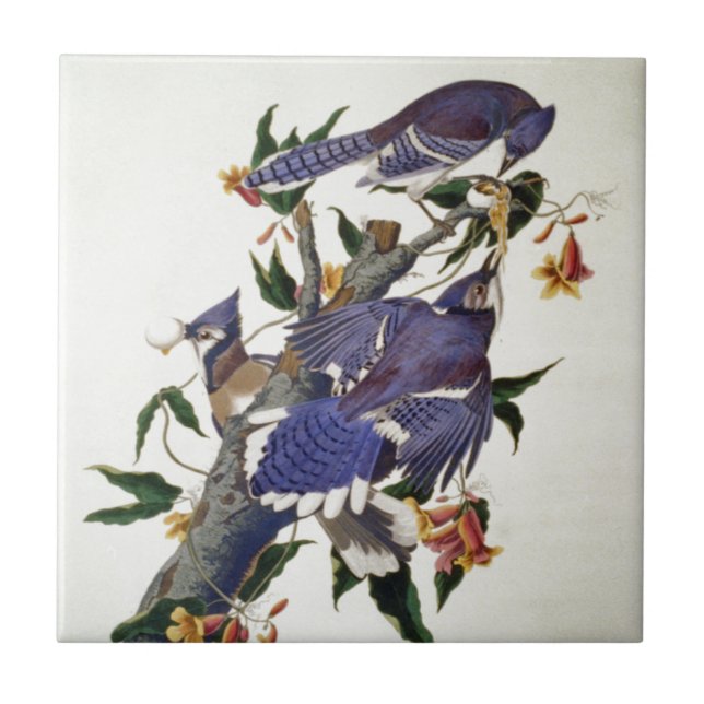 Azulejo De Cerámica Pájaros del vintage (Frente)