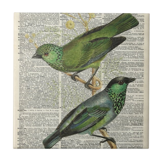 Azulejo De Cerámica Pájaros verdes sobre la página del libro del (Frente)