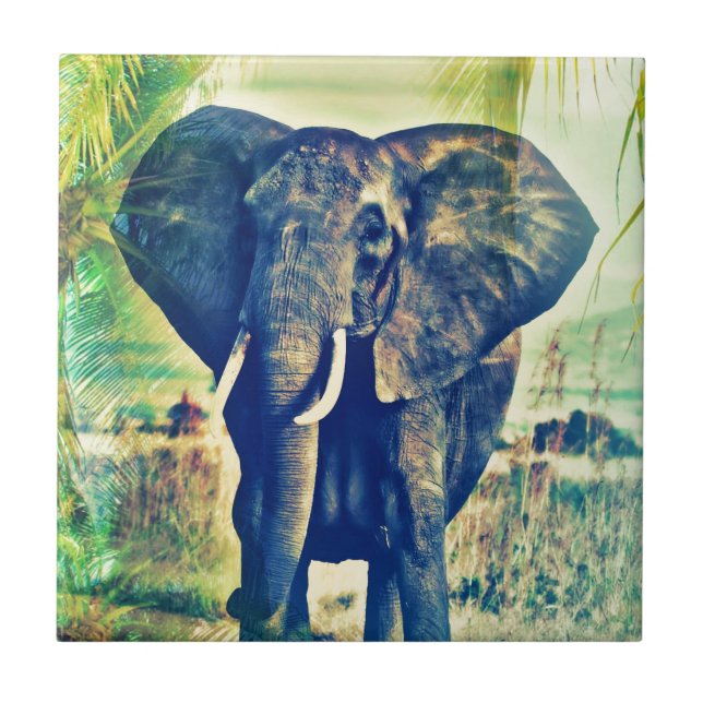 Azulejo De Cerámica Palmas de Elefante (Frente)