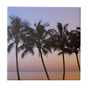 Azulejo De Cerámica Palmera, mañana