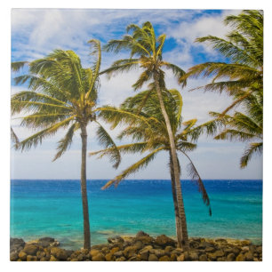 Azulejo De Cerámica Palmeras de coco (Cocos nucifera) balanceándose en