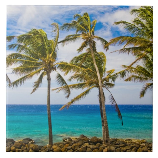 Azulejo De Cerámica Palmeras de coco (Cocos nucifera) que se mecen (Frente)