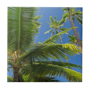 Azulejo De Cerámica Palmeras de coco, Pu'uhonua o Honaunau 1