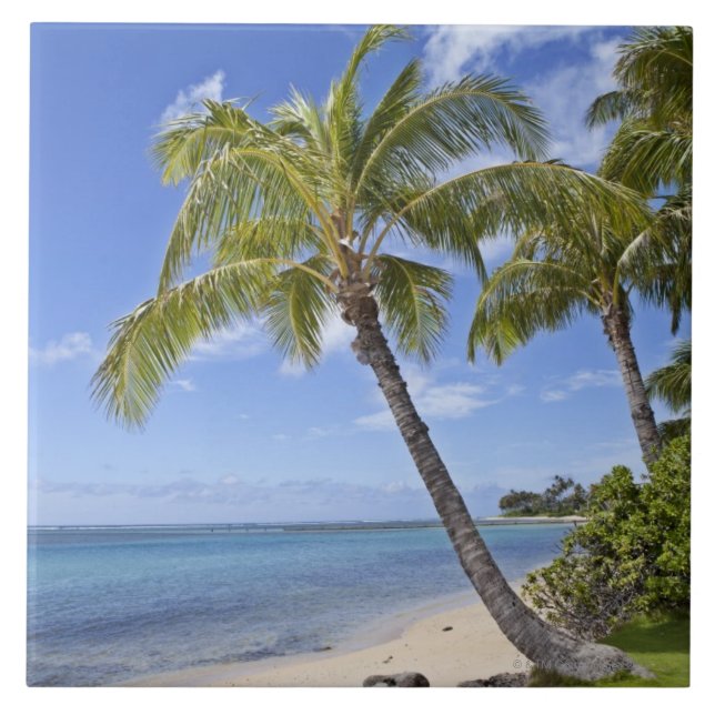 Azulejo De Cerámica Palmeras en la playa en Hawaii (Frente)
