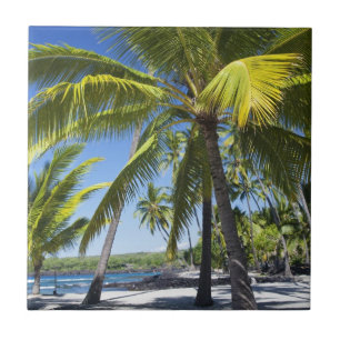 Azulejo De Cerámica Palmeras, Parque Histórico Nacional Pu'uhonua