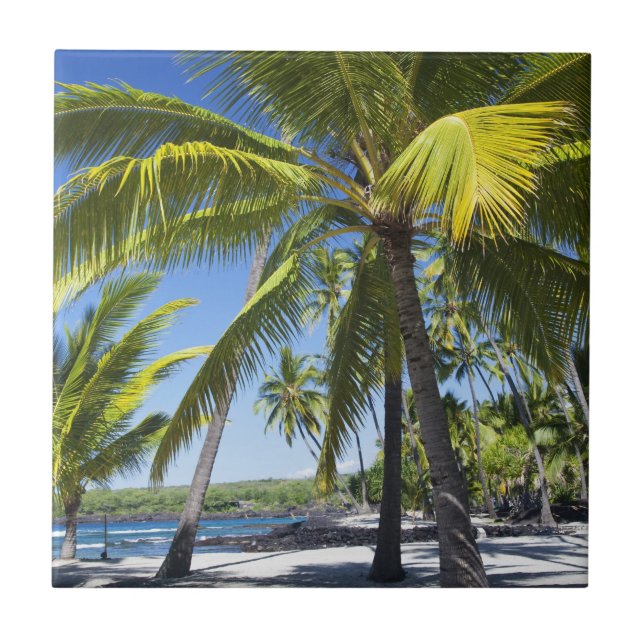 Azulejo De Cerámica Palmeras, Parque Histórico Nacional Pu'uhonua (Frente)