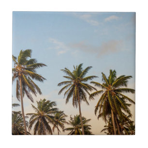 Azulejo De Cerámica Palmeras Tropicales