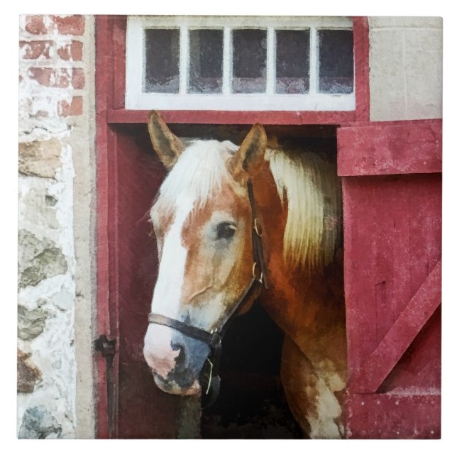 Azulejo De Cerámica Palomino por puerta de barn (Frente)