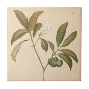 Azulejo De Cerámica Panel deco cobalto I