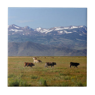 Azulejo De Cerámica Panorama HWY 395 de California