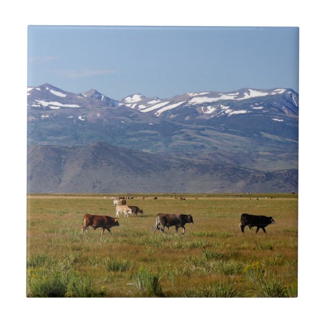 Azulejo De Cerámica Panorama HWY 395 de California (Frente)