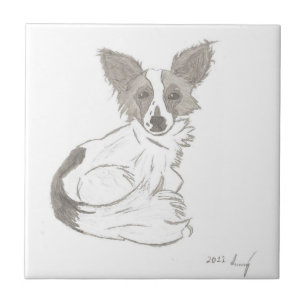 Azulejo De Cerámica Papillon Sketch Tile