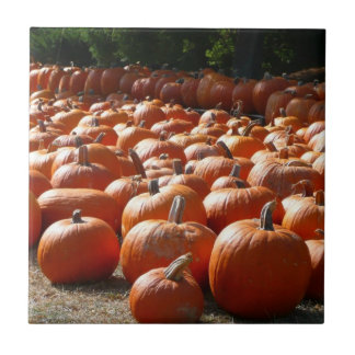 Azulejo De Cerámica Parche de calabaza Fotografía de la cosecha otoñal