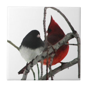 Azulejo De Cerámica Pareja Extraña de Pájaros de Amor